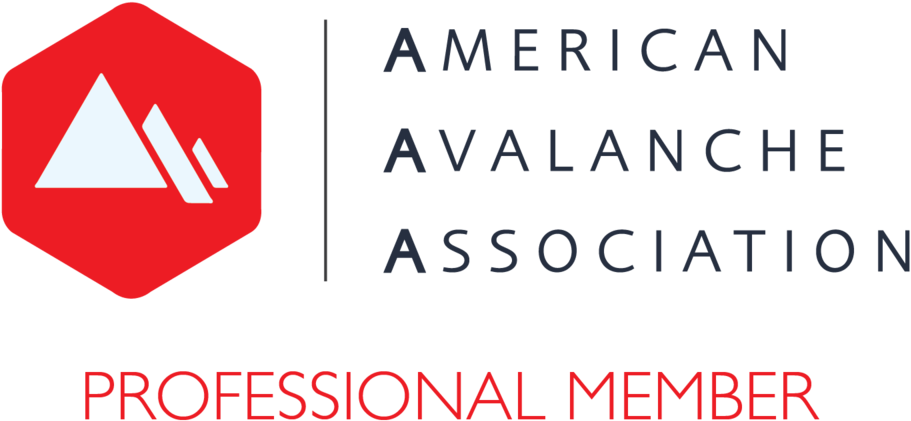 Aaa Logo Pro Member - American Avalanche Association (1000x1000), Png Download