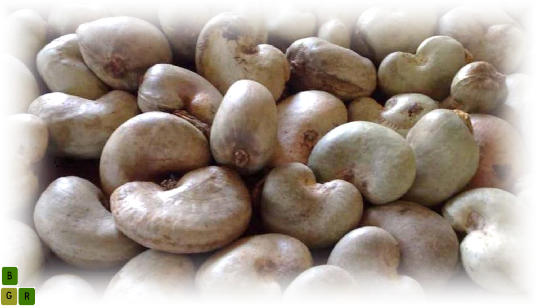 Cashew Nut Extract - Cashew Nuts In Nigeria (2032x1158), Png Download