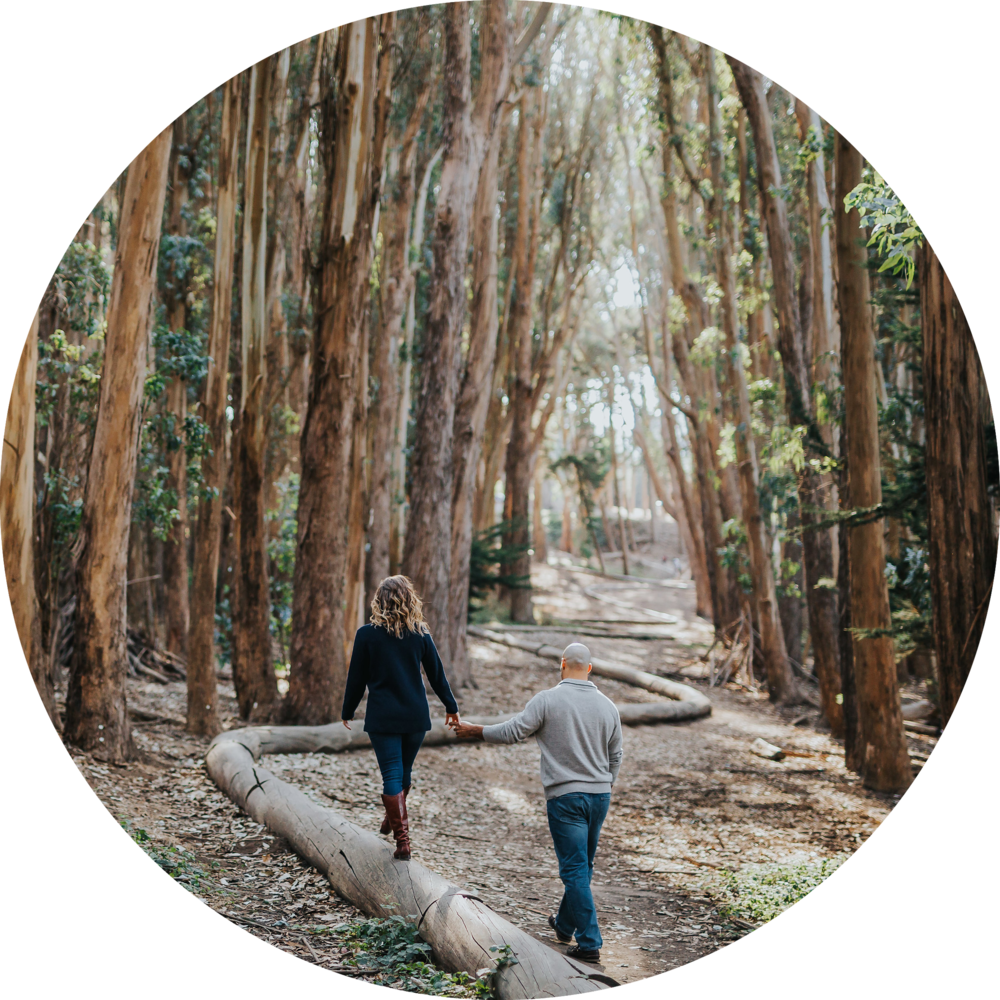 Farewell - Old-growth Forest (1000x1000), Png Download