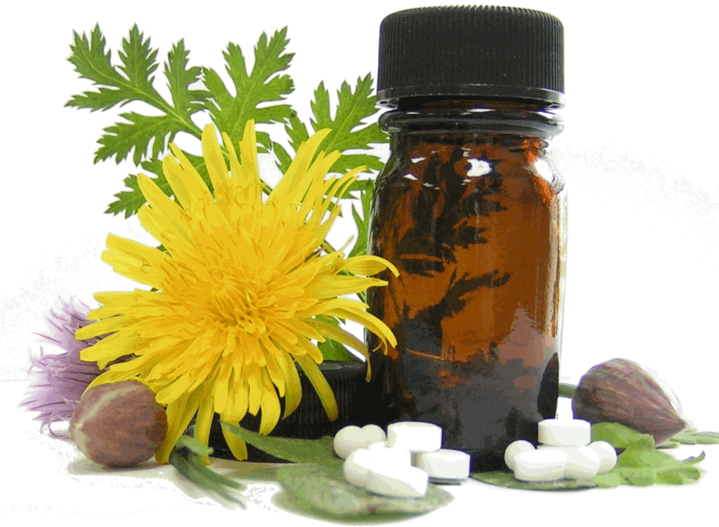 Homeopathy Is Based On These Principles - Electro Homeopathy (1024x773), Png Download