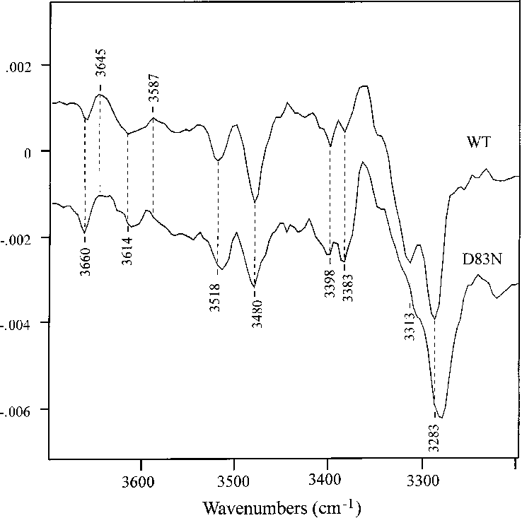 Comparison Of The Ftir Difference Spectra For The Rho - Diagram (738x733), Png Download