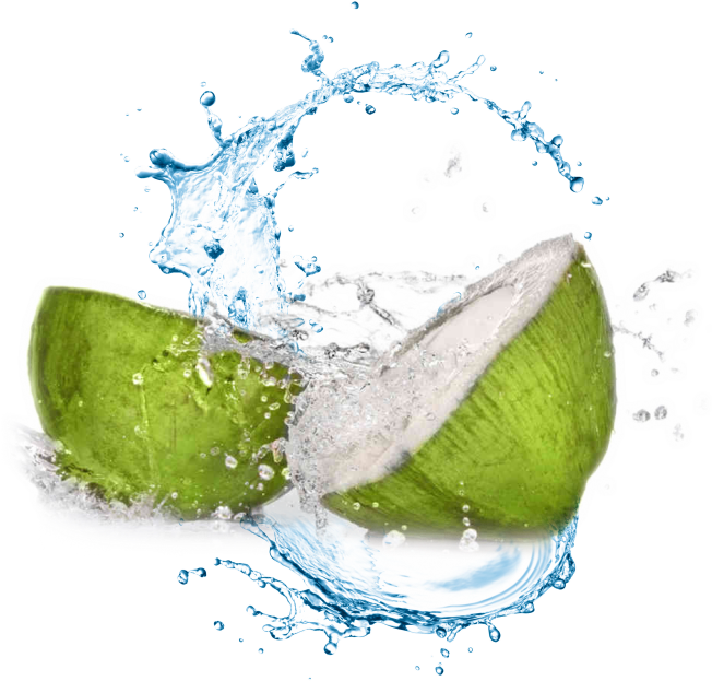 Coconut Water Transparent Background (651x644), Png Download