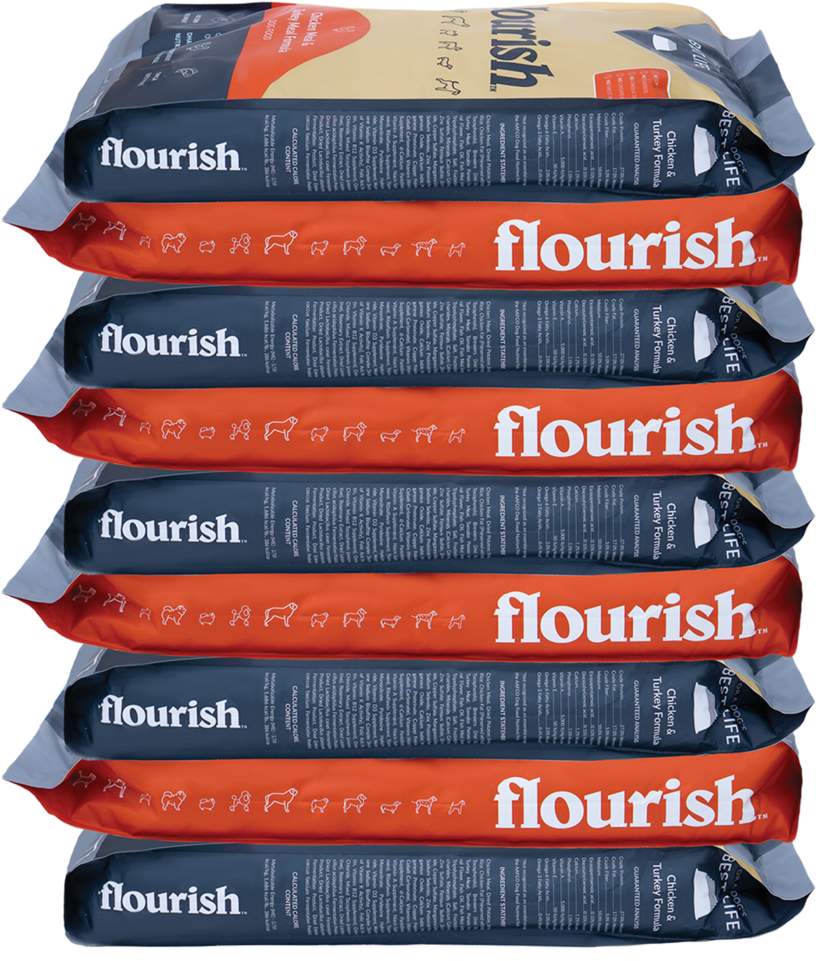 Pallet Order - 30 Bags - Pencil (1160x1337), Png Download