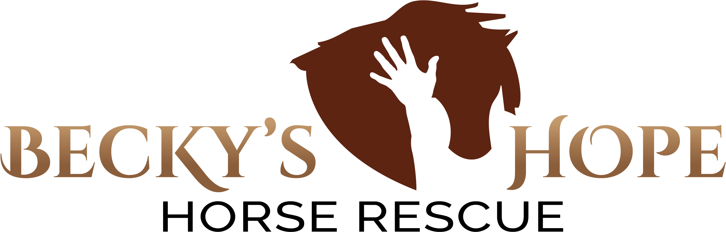 Logo - Illustration (3000x1103), Png Download