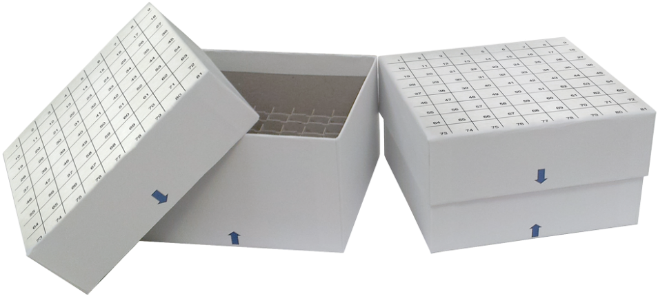 Standard White ” Fiberboard Boxes With Grid Lines And - Architecture (1000x486), Png Download