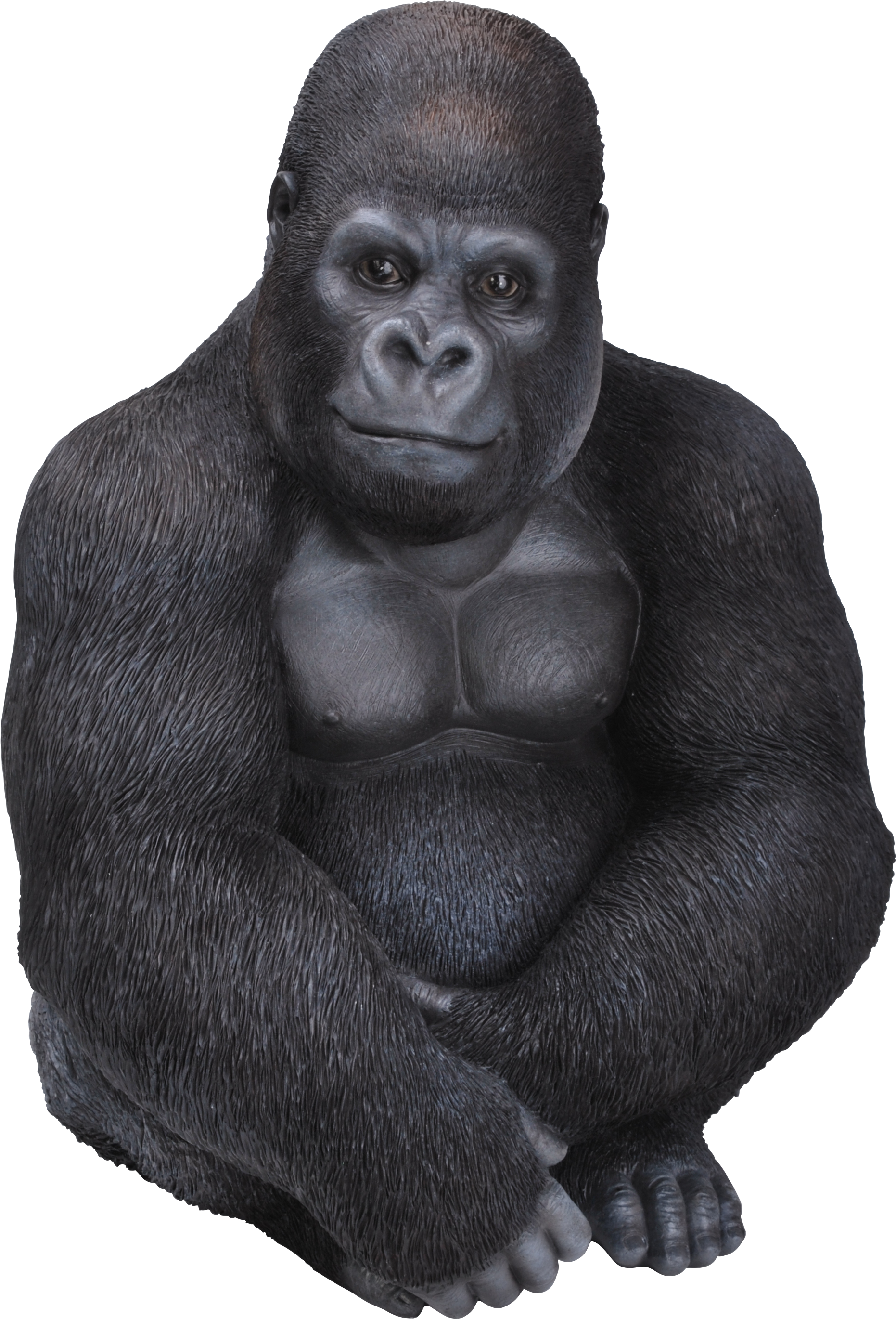 Real Life Gorilla B - Gorilla Sitting Png (2344x3165), Png Download