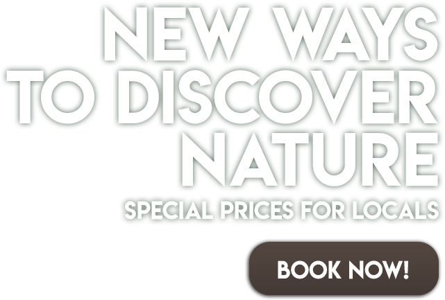 Akumal Monkey Sanctuary & Rescued Animals - Parallel (640x500), Png Download