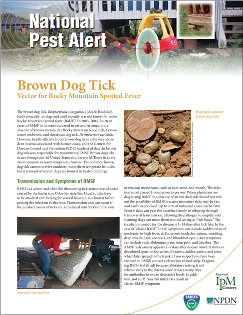 National Pest Alert - Flyer (1200x630), Png Download