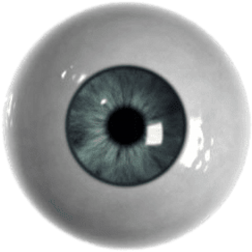 Free Png Download Single Eyeball Png Images Background - Eyeball With No Background (850x638), Png Download