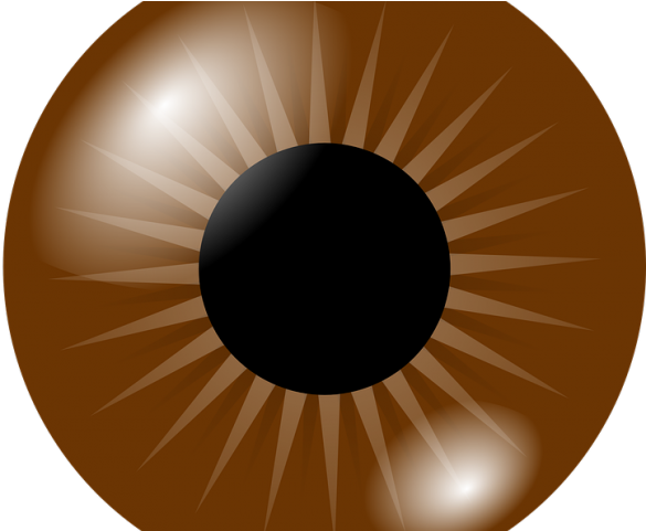 Eyeball Clipart Png Realistic - Brown Eye Clip Art (640x480), Png Download