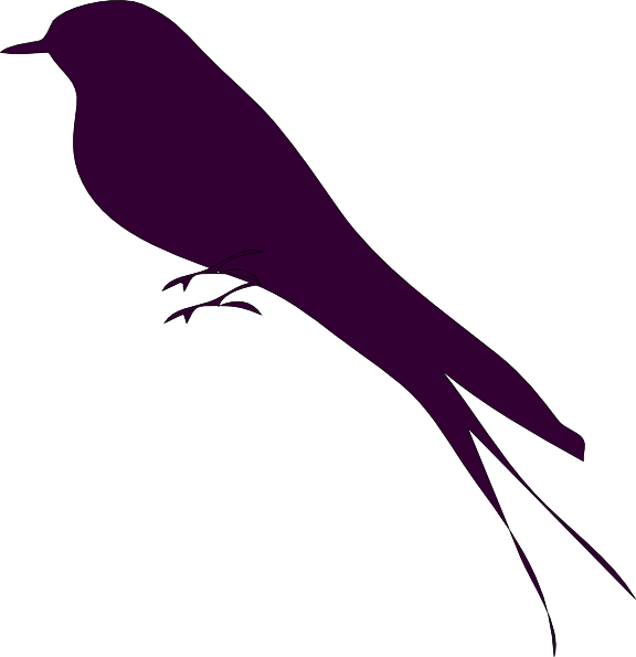 Mockingbird Png - Bird Small Pictures In Clipart (576x595), Png Download