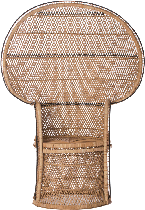 The Savannah Peacock Chairs - Chair (567x804), Png Download