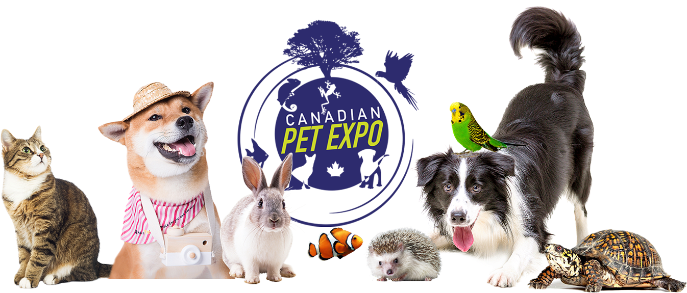 Over 290 Vendor Booths That's All About The Pets, Whether - Border Collie (1400x641), Png Download