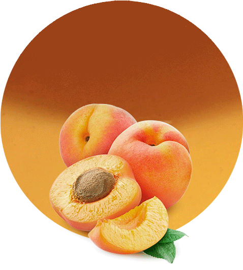 Com/wp Filling - Apricots Transparent (536x595), Png Download