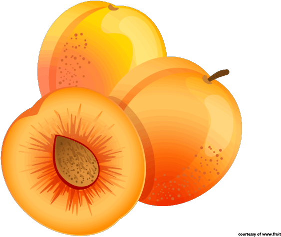 Apricot Clipart Appricot - Clipart Apricots Png (640x480), Png Download