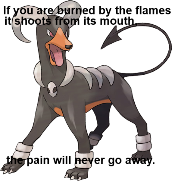 Apply Cold Water To That Burn - Pokemon Houndoom (600x600), Png Download