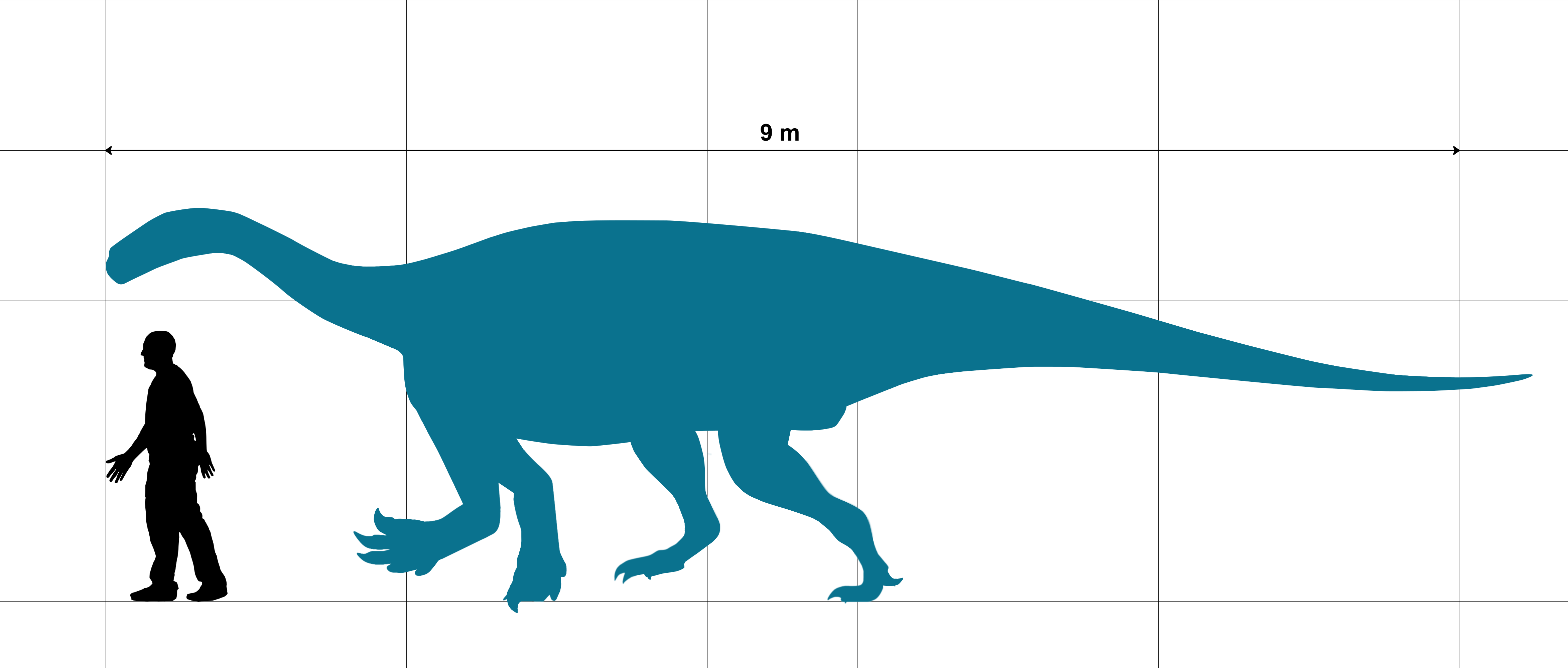 Ledumahadi Size Chart With Human - Dinosaur (4692x2000), Png Download