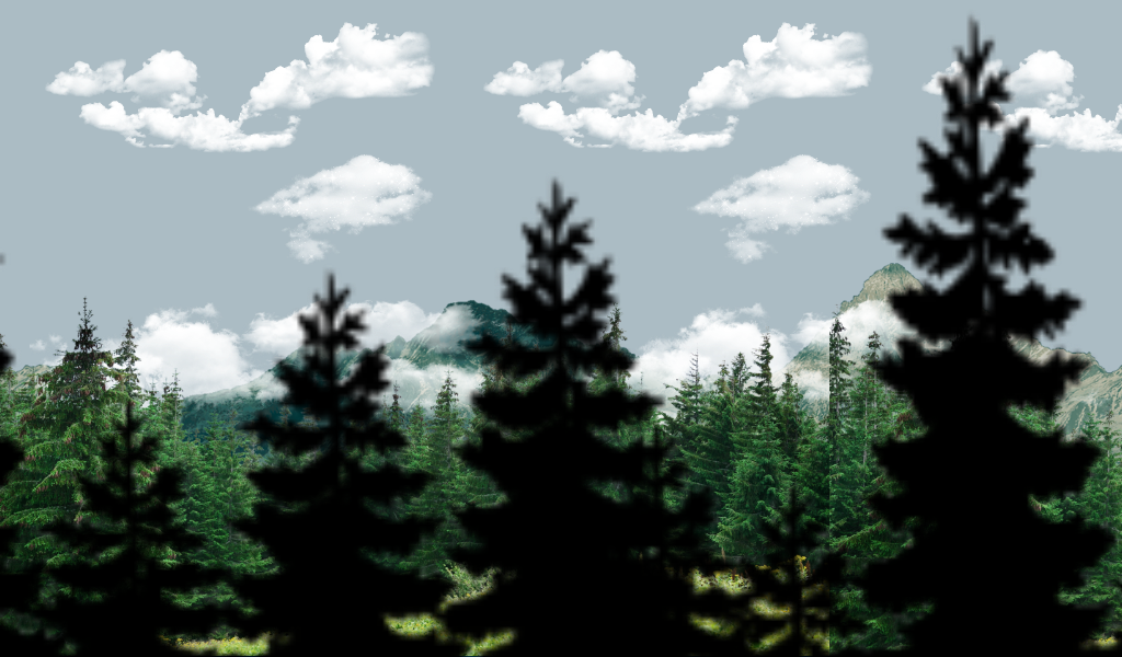Christmas Tree (1024x600), Png Download