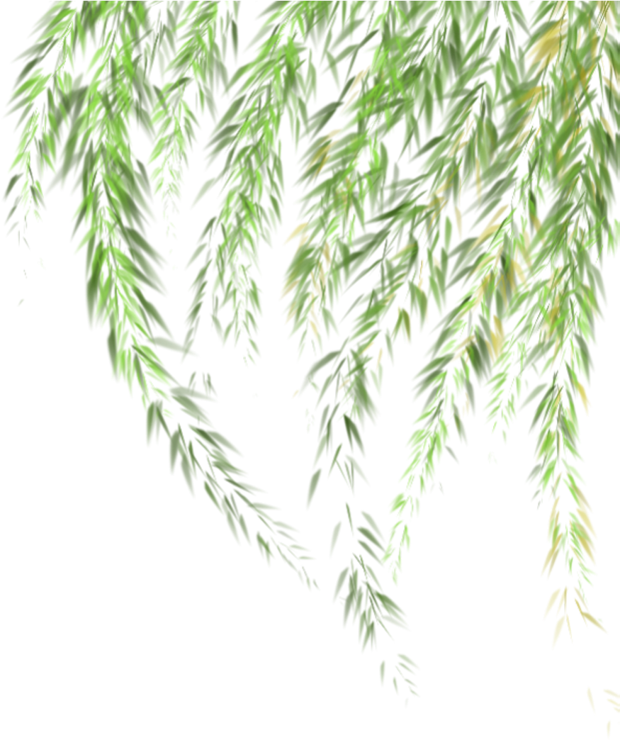 Willow Sticker - Grass (1024x1217), Png Download