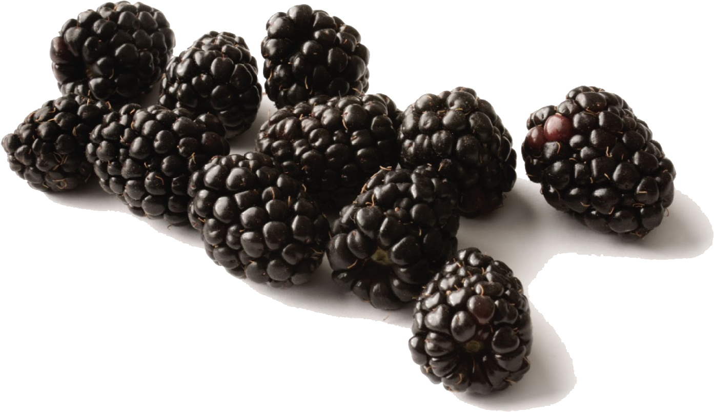 Black Raspberries Transparent Background - Black Raspberries Png (1600x1018), Png Download
