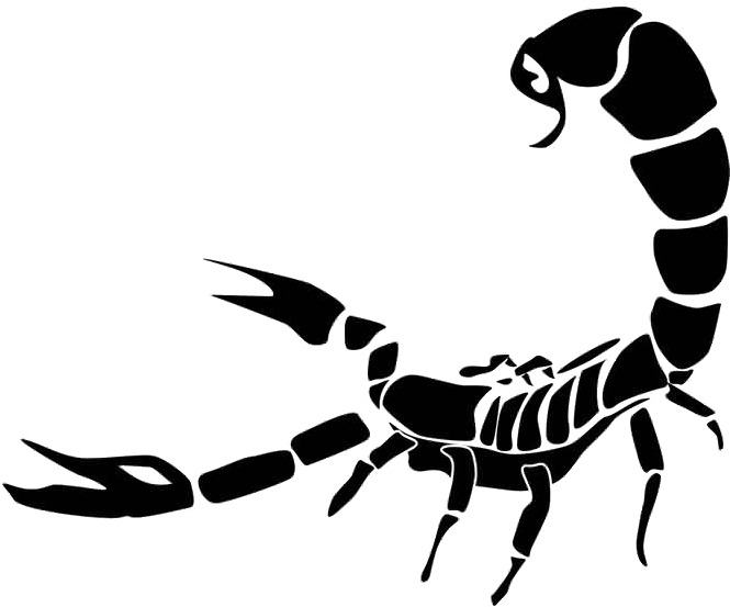 Scorpio Tattoo Png Photo - Scorpion Png (800x708), Png Download