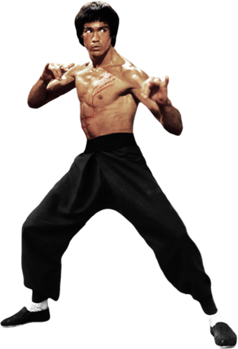 The Dragon Fight By Gdsfgs Bruce Lee Photos, Brandon - Free Transparent Bruce Lee (478x700), Png Download