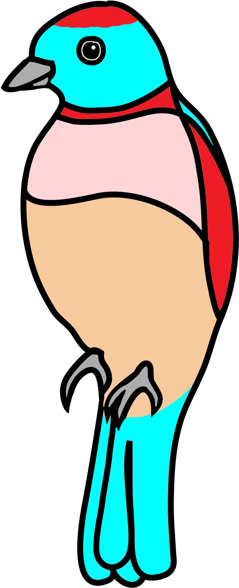 Flying Bird Colored Fantasy, Bluebird Drawing (827x1976), Png Download