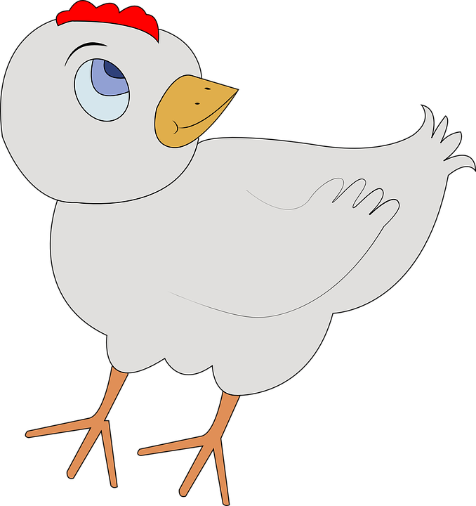 Chicken (678x720), Png Download