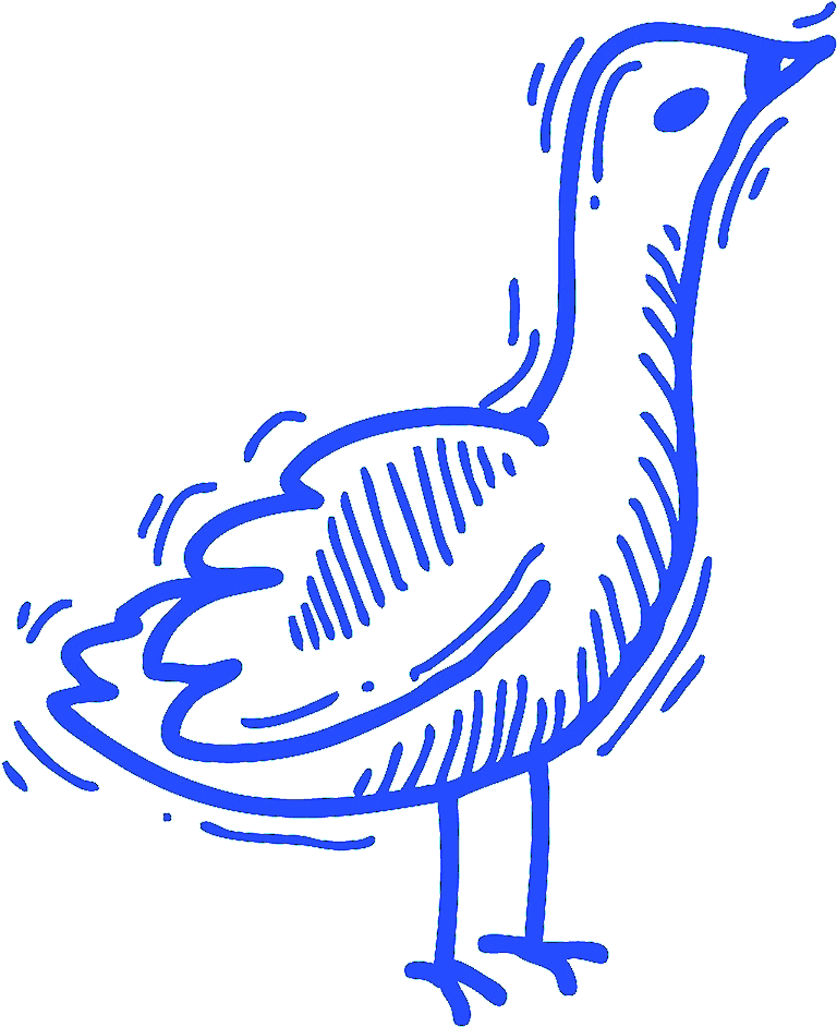 Duck (981x1098), Png Download