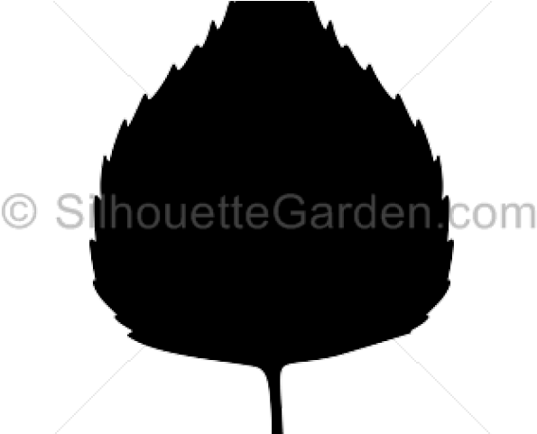 Leaf Clipart Birch Tree - Taurus Raging Judge Magnum (640x480), Png Download