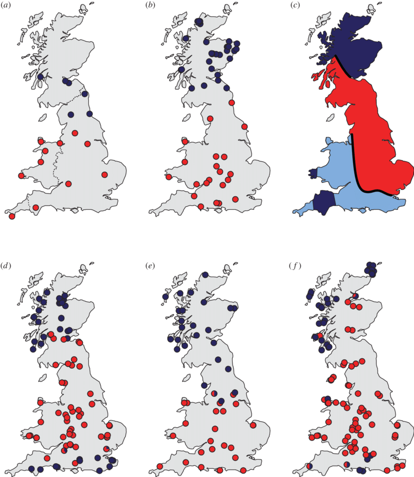 Celtic Fringes In British Small Mammals The Distribution - Map Of Uk (850x980), Png Download