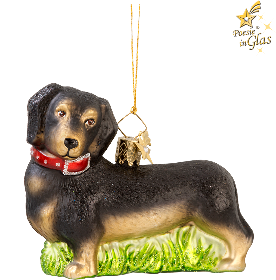 Dachshund (1000x1000), Png Download