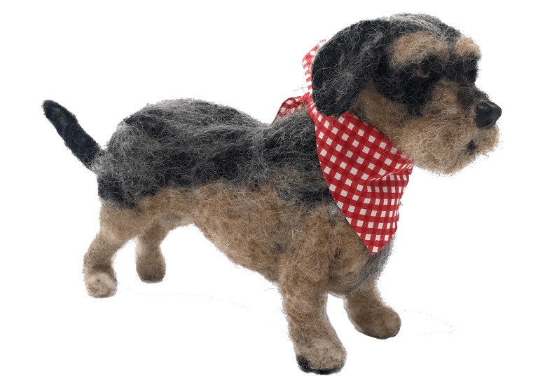 Miniature Wirehaired Dachshund Needle Felting Kit - Felt (800x800), Png Download