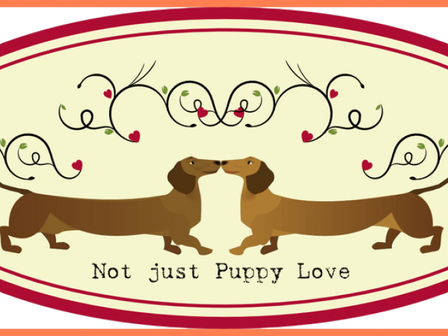 Dachshund Clipart 6 Dog - Dachshund (640x480), Png Download