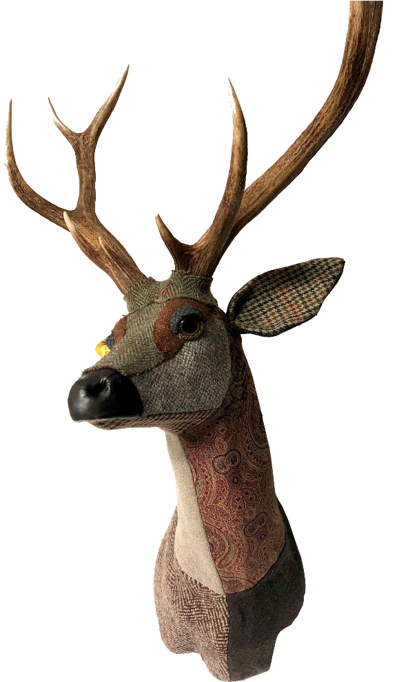 Deer Merlin Sika - Elk (583x1000), Png Download