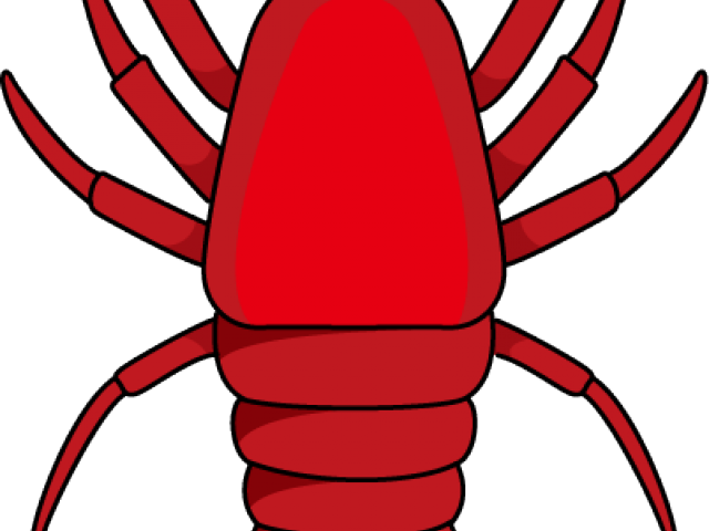 ลาย เส้น กุ้ง (640x480), Png Download