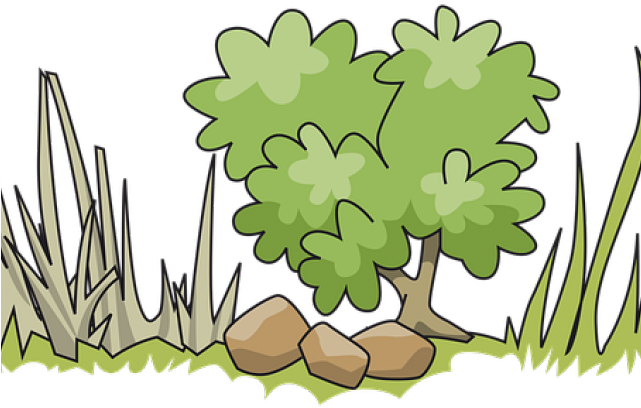 Clipart Shrubs (640x480), Png Download
