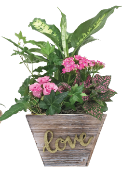 Forever Wooden Planter (253x350), Png Download
