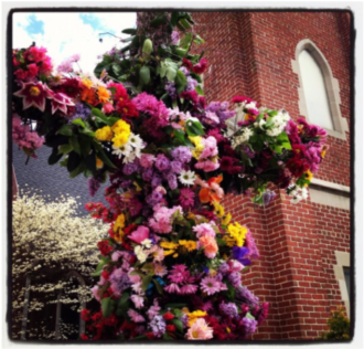 This Has Become A Special Easter Tradition At Fumc - Bougainvillea (960x350), Png Download