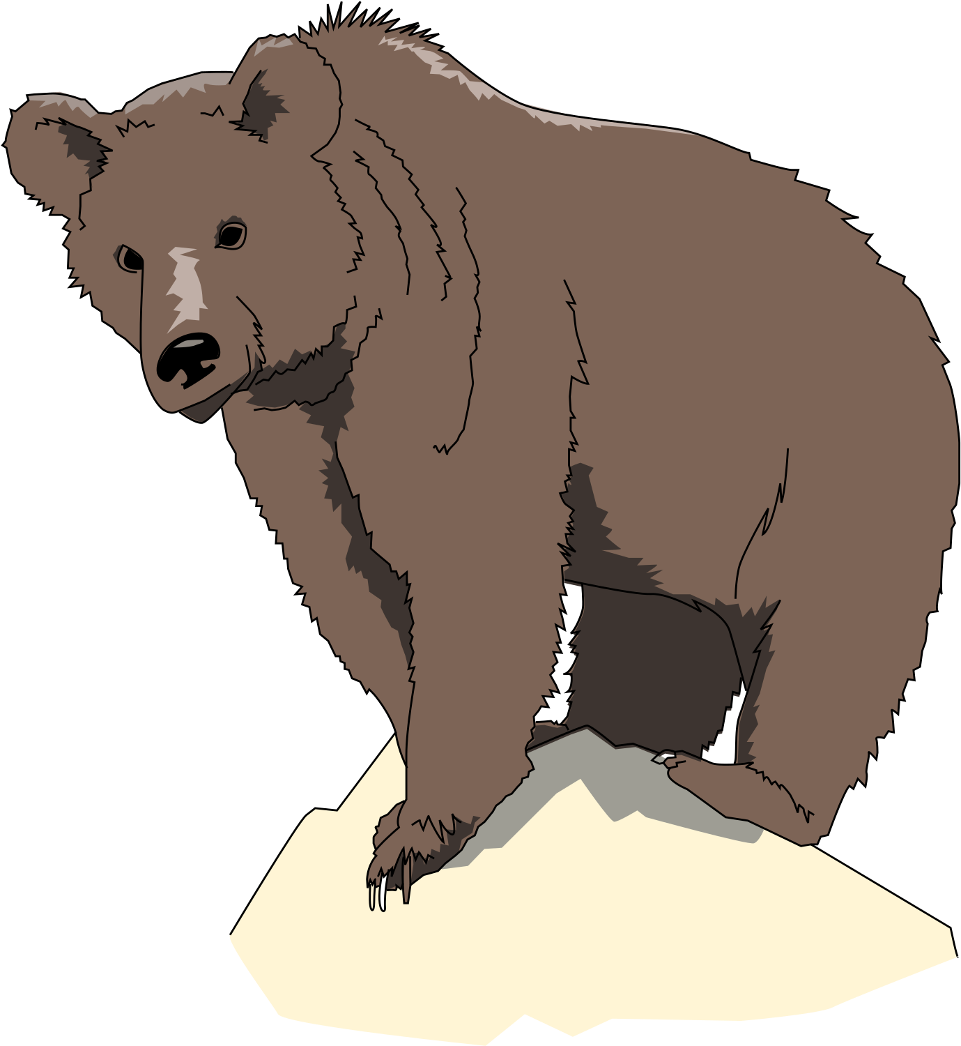 Rock Clipart Png - Brown Bear Icon (1680x2400), Png Download