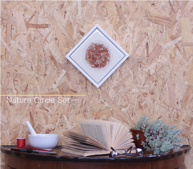 Nature Circle Set 1 Front Home Japanese Maple Gillies - Coffee Table (785x540), Png Download