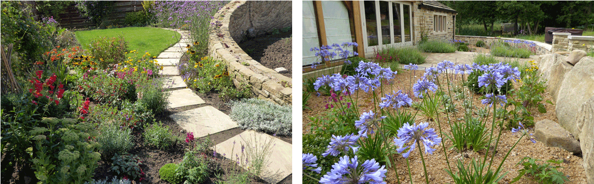 Garden Design Ideas For You And Your Garden - Agapanthus (1200x400), Png Download