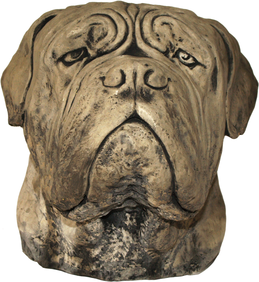 Large Dog Head (1000x1000), Png Download
