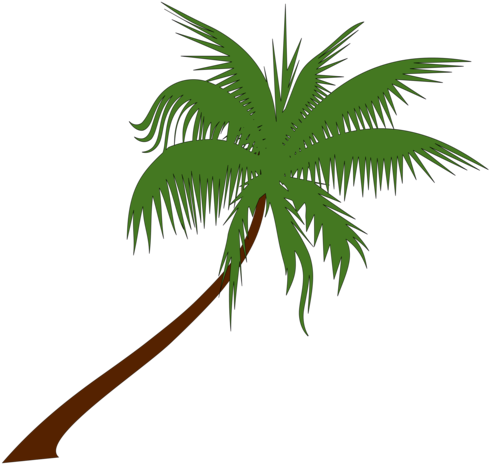 Adonidia Tree Download Art Document - Palm Tree Vector Png (530x750), Png Download