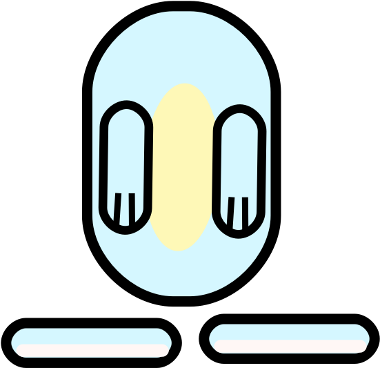 Bunny Body2 - Bunny Body Cartoon (566x548), Png Download