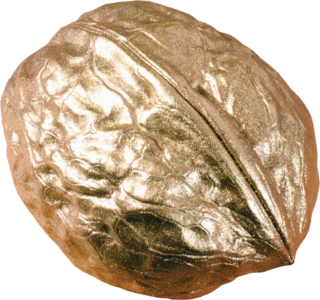 Золотой Орех Пнг (1054x988), Png Download