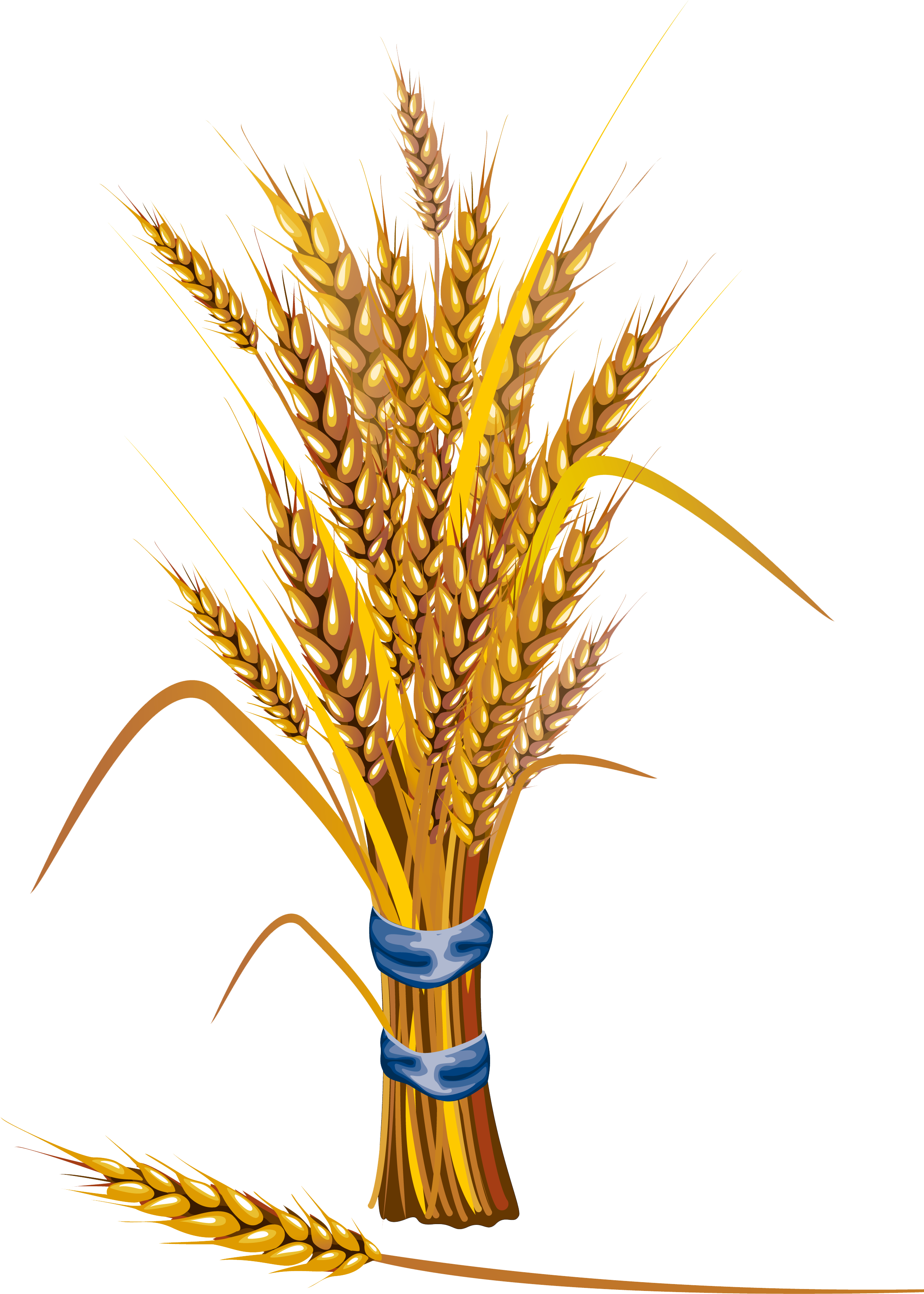 Symbol Of A - Cereals Illustration Png (2480x3508), Png Download