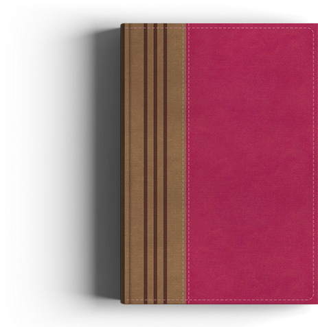 Niv Biblical Theology Study Bible Pink Leathersoft - Wood (636x484), Png Download