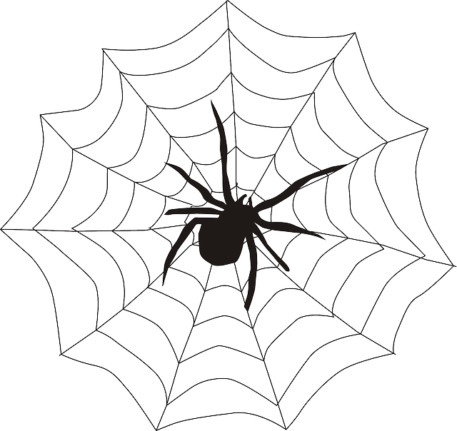 Spider In A Web Drawing (640x604), Png Download