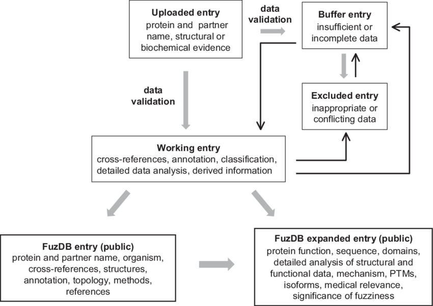 The Flowchart Of Fuzdb Data Processing - Diagram (850x601), Png Download